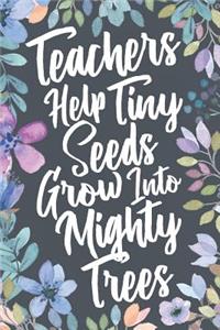 Teachers Help Tiny Seeds Grow Into Mighty Trees