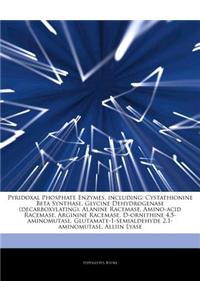 Articles on Pyridoxal Phosphate Enzymes, Including