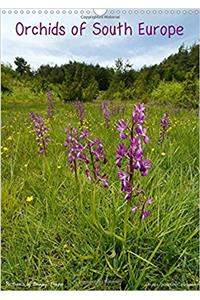 Orchids of South Europe 2018 / UK-Version 2018