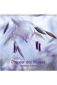 Douceur Des Herbes 2018