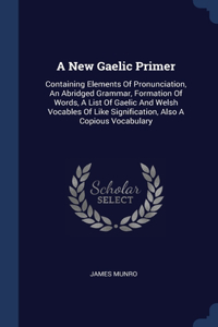A New Gaelic Primer