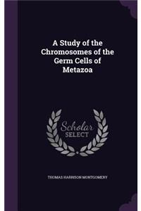Study of the Chromosomes of the Germ Cells of Metazoa