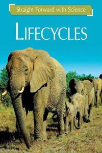 Straight Forward with Science: Life Cycles