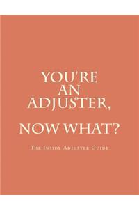 You're An Adjuster, Now What?