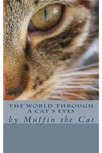 The World Through a Cat's Eyes