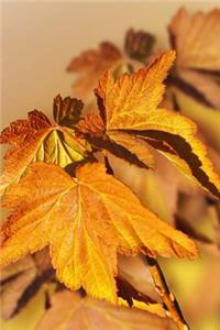 Mind Blowing Autumn Leaf 200 page lined journal