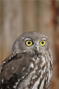 Owl Says WTF Journal