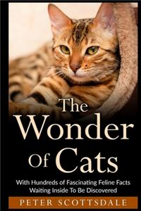 The Wonder Of Cats