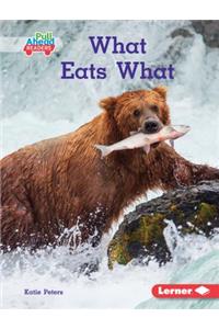 What Eats What