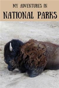 My Adventures in National Parks