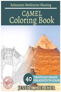 Camel Coloring Book for Adults Relaxation Meditation Blessing: Sketches Coloring Book 40 Grayscale Images