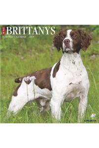 Just Brittanys 2019 Wall Calendar (Dog Breed Calendar)