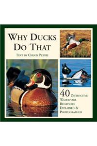Why Ducks Do That: 40 Destinctive Duck Behaviors Explained & Photographed