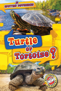 Turtle or Tortoise?