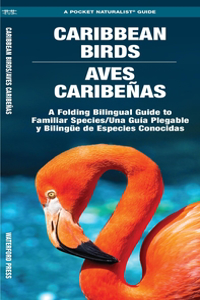 Caribbean Birds/Aves Caribenas