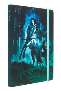 Harry Potter: Centaurs Softcover Notebook