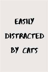 Easily distracted by cats