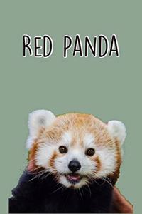 Red Panda
