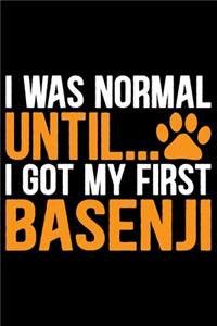 I Was Normal Until I Got My First Basenji