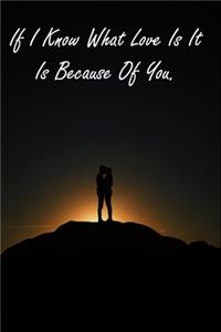 If I Know What Love Is It Is Because Of You.