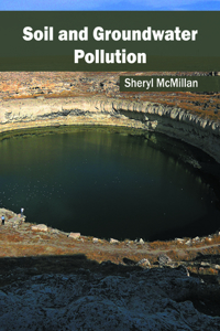 Soil and Groundwater Pollution