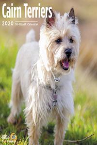 CAIRN TERRIERS WALL CALENDAR 2020