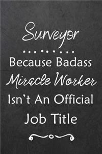 Surveyor Because Bad Ass Miracle Worker Isn't An Official Job Title