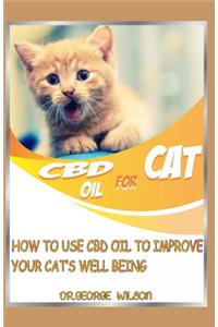 CBD Oil for Cat