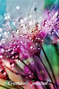 Gratitude Journal