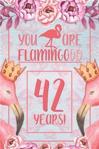 42nd Birthday Journal