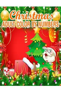 Christmas Adult Color By Numbers
