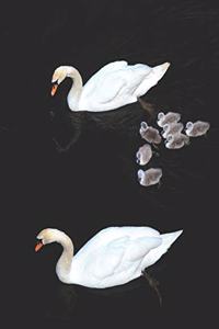 Swan Black Pages Notebook