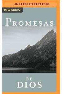 Promesas de Dios Para Cada Una de Sus Necesidades (Narración En Castellano)