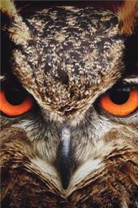Owl Journal Notebook Planner Memo Book 6 X 9 (150 Pages)