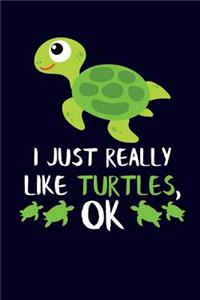I Just Really Like Turtles, Ok