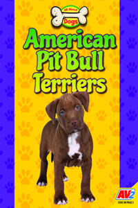 American Pit Bull Terriers