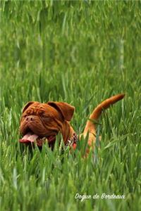 Dogue de Bordeaux: Pocket Notebook for Pets, Critters and All Kinds of Animal Lovers