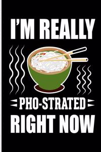 I'm Really Pho-Strated Right Now