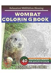 Wombat Coloring Book for Adults Relaxation Meditation Blessing: Sketches Coloring Book 40 Grayscale Images