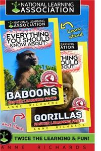 Everything You Should Know About