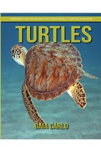 Turtles