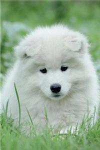 Samoyed Notebook & Journal. Productivity Work Planner & Idea Notepad