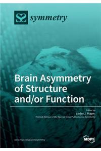 Brain Asymmetry of Structure and/or Function