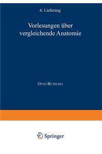 Vorlesungen Über Vergleichende Anatomie