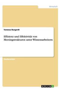 Effizienz und Effektivität von Meetingstrukturen unter Wissensarbeitern