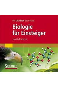 Alle Grafiken Des Buches 