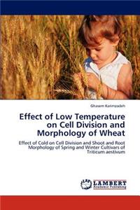 Effect of Low Temperature on Cell Division and Morphology of Wheat