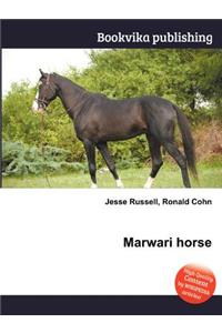 Marwari Horse