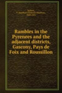 Rambles in the Pyrenees and the adjacent districts, Gascony, Pays de Foix and Roussillon