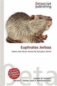 Euphrates Jerboa